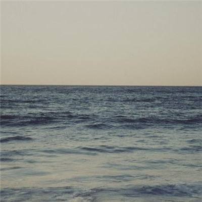 加拿大pc软件平台下载手机版