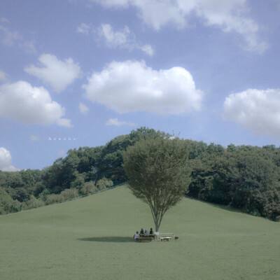 BSport·APP在线登录手机app下载截图