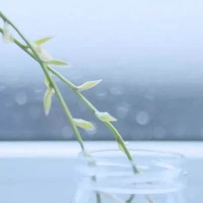 澳门新葡澳京下载手机版